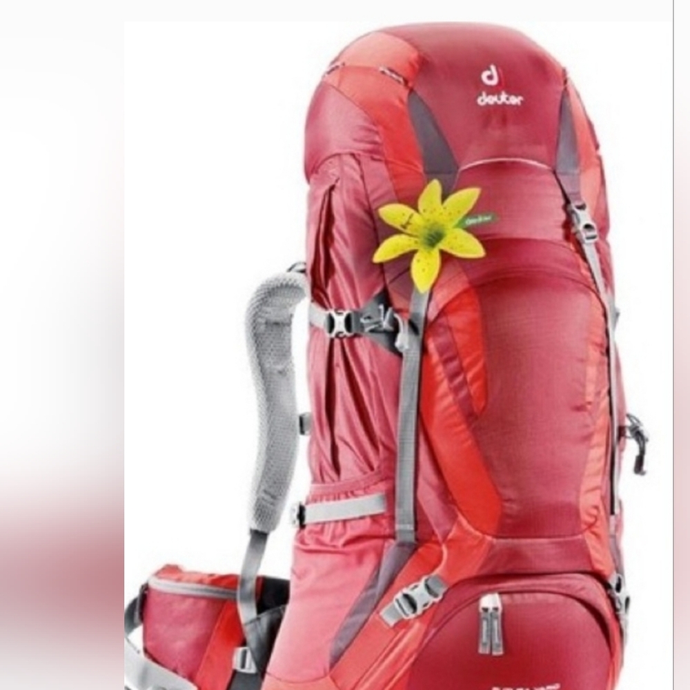 Hiking backpack